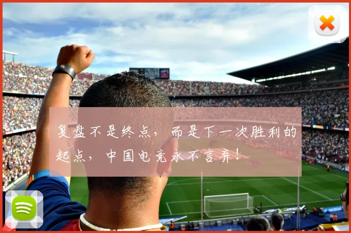 复盘不是终点，而是下一次胜利的起点，中国电竞永不言弃！